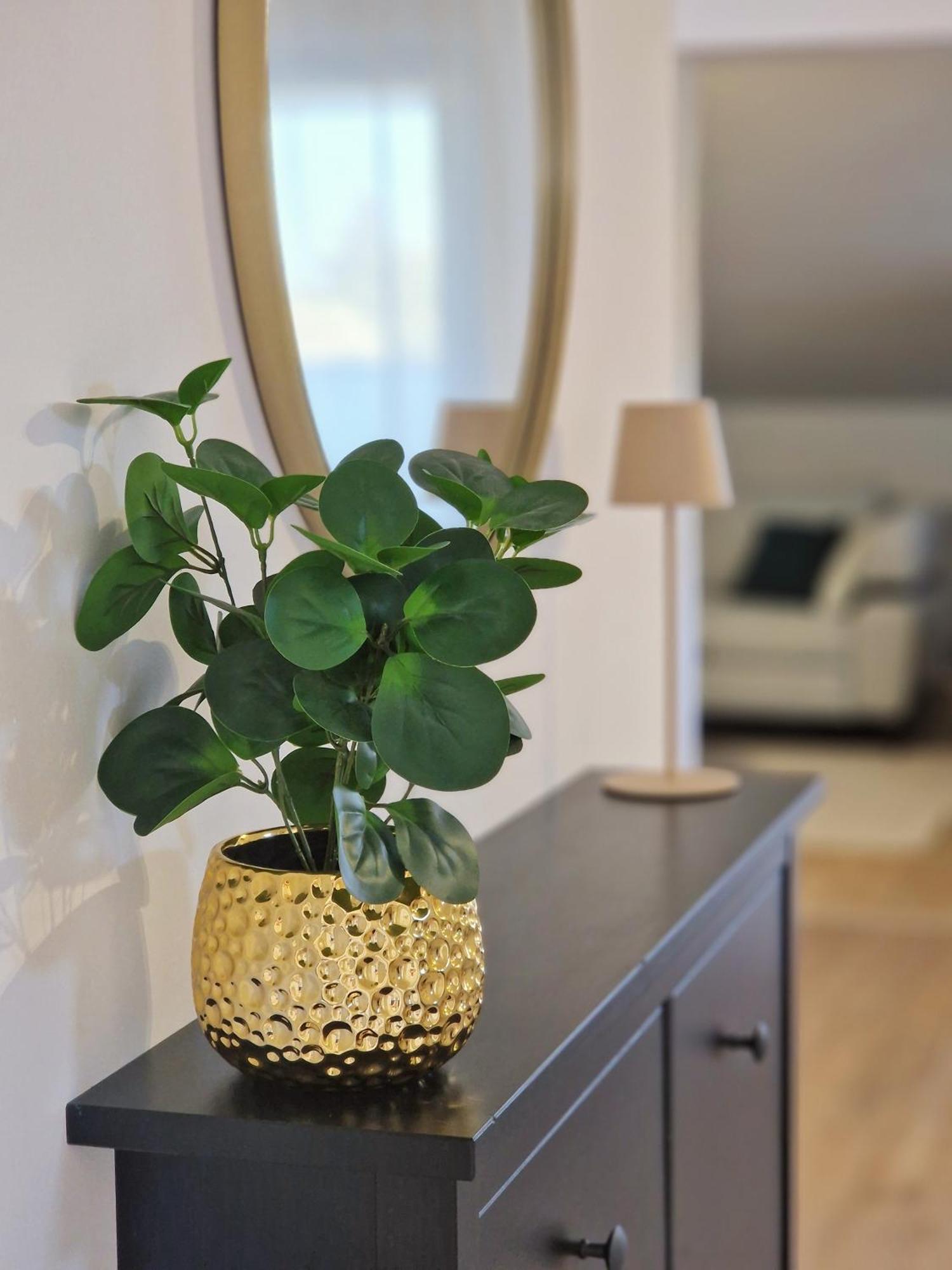 Apartments Jasna Ровінь Екстер'єр фото
